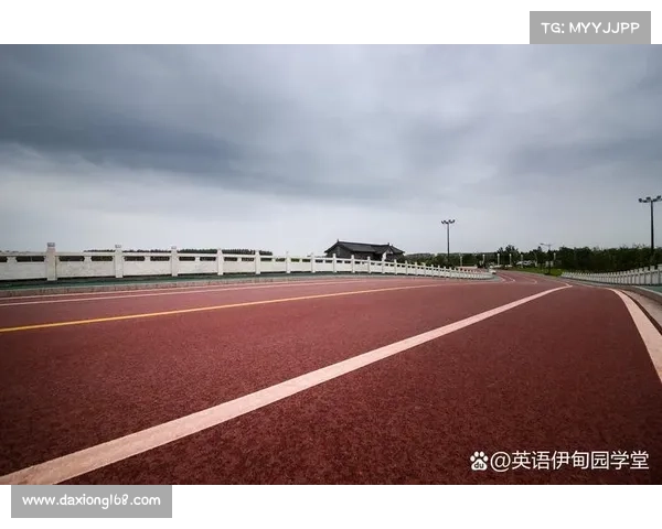 长跑赛事2020,2017年激情长跑赛事精彩纷呈挑战极限铸就辉煌篇章奔跑人生